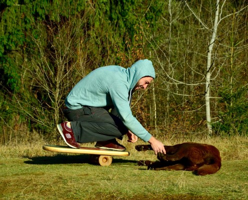 Nevboard - balance board